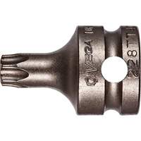 Embout &agrave; ins&eacute;rer, Torx inviolable, 25 x 1" lo, Prise 3/8" Cam Industrial