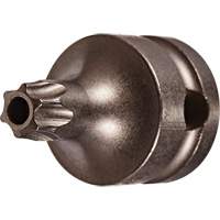 Embout &agrave; ins&eacute;rer, Torx inviolable, 25 x 1" lo, Prise 3/8" Cam Industrial