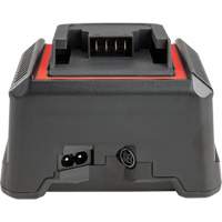Chargeur de batterie 2,5 Ah et 5,0 Ah, 120 V, Lithium-ion Cam Industrial