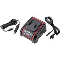 Chargeur de batterie 2,5 Ah et 5,0 Ah, 120 V, Lithium-ion Cam Industrial