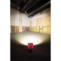 M12 Rover Mounting Flood Light, LED, 250 W, 1000 Lumens Cam Industrial