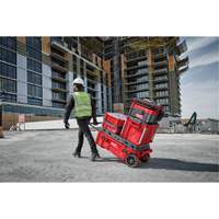 Packout Rolling Tool Chest, 15-4/5" x 34" x 28", Red Cam Industrial