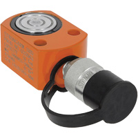 V&eacute;rin simple action &agrave; faible hauteur &agrave; usage tr&egrave;s intensif, Course de 0,39", Capacit&eacute; de 10 tonne(s) Cam Industrial