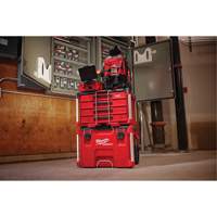 PackOut 4-Drawer Tool Box, 16-3/10" x 22-1/5" x 14-3/10", Red Cam Industrial