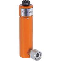 V&eacute;rins hydrauliques, Course de 3", Capacit&eacute; de 2 tonne(s) Cam Industrial