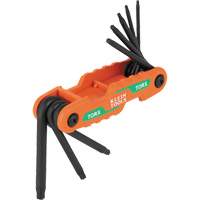 Jeu de cl&eacute;s hexagonales pliant et compact, 8 mcx, Torx Cam Industrial