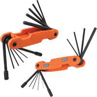 Pro Folding Hex Key Set, 21 Pcs., Metric & Imperial Cam Industrial