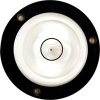 Niveau Bull's-Eye Cam Industrial