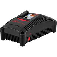Chargeur de batterie IQV40, 40 V, Lithium-ion Cam Industrial