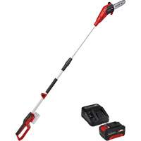 Cordless Pole Chain Saw with 4Ah Battery & Charger Starter Kit Cam Industrial