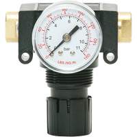 MODULAIR 200 Acetal Piston Regulator, 1/4" NPT, 150 PSI Max. PSI, In Line/Modular Cam Industrial