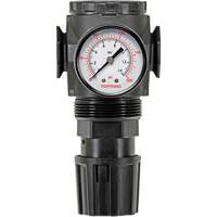 MODULAIR 300 Zinc Diaphragm Regulator, 3/8" NPT, 300 psi Max. PSI, In Line/Modular Cam Industrial