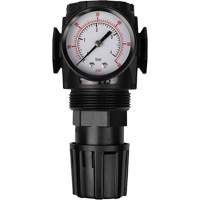 MODULAIR 300 Compressed Air Regulator, 1/2" NPT, 300 psi Max. PSI, In Line/Modular Cam Industrial
