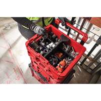 PACKOUT Low-Profile Crate, 15" x 18-5/8" x 6-5/8", Black/Red Cam Industrial