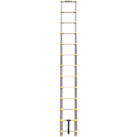Telescopic Ladder, 3' - 12', Aluminum, 250 lbs. Capacity, Type 1 Cam Industrial