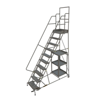 Stock Picking Rolling Ladder Cam Industrial