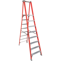 Industrial Heavy-Duty Pro Platform Stepladders (FXP1700 Series), 8', 300 lbs. Cap. Cam Industrial