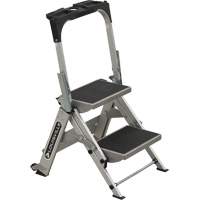 Tilt & Roll Step Stool Ladder, 2 Steps, 23" x 21" x 34.50" High Cam Industrial