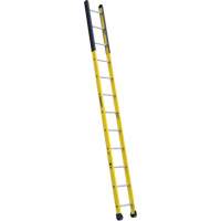 Single Manhole Ladder, 12', Fibreglass, 375 lbs., CSA Grade 1AA Cam Industrial