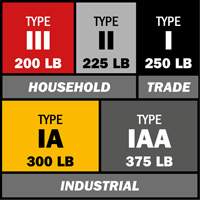 Step Ladder with Paint Tray, 10', Aluminum, 225 lbs. Capacity, Type 2 Cam Industrial
