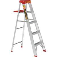 Step Ladder with Paint Tray, 5', Aluminum, 200 lbs. Capacity, Type 3 Cam Industrial