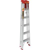 Step Ladder with Paint Tray, 6', Aluminum, 200 lbs. Capacity, Type 3 Cam Industrial
