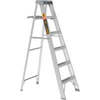 Step Ladder with Paint Tray, 6', Aluminum, 225 lbs. Capacity, Type 2 Cam Industrial