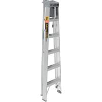 Step Ladder with Paint Tray, 6', Aluminum, 225 lbs. Capacity, Type 2 Cam Industrial
