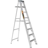 Step Ladder with Paint Tray, 8', Aluminum, 225 lbs. Capacity, Type 2 Cam Industrial