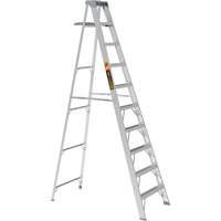 Step Ladder with Paint Tray, 10', Aluminum, 225 lbs. Capacity, Type 2 Cam Industrial