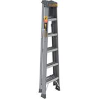 Step Ladder with Paint Tray, 6', Fibreglass, 225 lbs. Capacity, Type 2 Cam Industrial