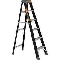 Step Ladder, 6', Fibreglass, 250 lbs. Capacity, Type 1 Cam Industrial