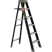 Step Ladder with Paint Tray, 6', Fibreglass, 250 lbs. Capacity, Type 1 Cam Industrial