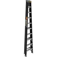 Step Ladder with Paint Tray, 10', Fibreglass, 250 lbs. Capacity, Type 1 Cam Industrial
