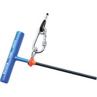 Hex Key - Metric, Hex End, 2.5 mm x 6" L, T Handle Cam Industrial