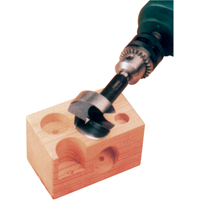 M&egrave;che Forstner, 2", Tige 2/5", Longeur de 3-1/2" Cam Industrial
