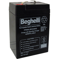 Sealed Lead Acid Batteries, 6 V, 5 Ah Cam Industrial
