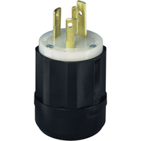 Dispositif verrouillable de qualit&eacute; industrielle, Nylon, 30 A, 250 V, L6-30P Cam Industrial