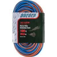 Cordon rallonge en caoutchouc TPE avec indicateur lumineux, Toutes saisons, SJEOW, AWG 14/3, 13 A, 100' Cam Industrial