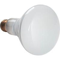 Economy Line Incandescent Lamps Cam Industrial