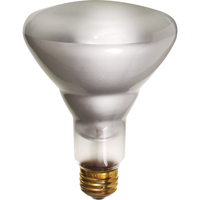 Economy Line Incandescent Lamps Cam Industrial