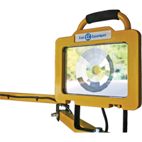 Heavy-Duty Dock Light, 40" Arm, 38 W, LED Lamp, Metal Cam Industrial