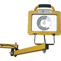 Heavy-Duty Dock Light, 40" Arm, 38 W, LED Lamp, Metal Cam Industrial