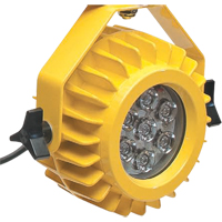 Heavy-Duty LED Dock Light - Head Only Cam Industrial
