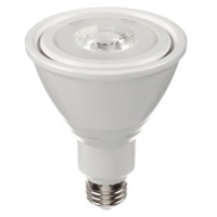 Ampoule DEL, PAR30, 10 W, 800 lumens, base Moyen Cam Industrial