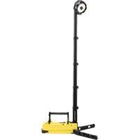 Portable Rechargeable Scene Lights, LED, 36 W, 5300 Lumens, Plastic Housing Cam Industrial
