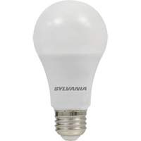 LED Bulb, A19, 6 W, 450 Lumens, E26 Medium Base XI030 | Cam Industrial