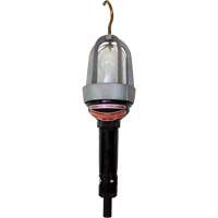Hazardous Location Handlamp Cam Industrial