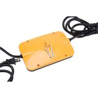 LED String Work Lights, 5 Lights, 50' L, Plastic Housing Cam Industrial