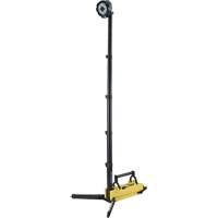 Portable Extendable Scene Light, LED, 5300 Lumens, Plastic Housing Cam Industrial